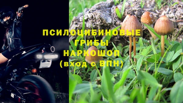 МДПВ Бронницы