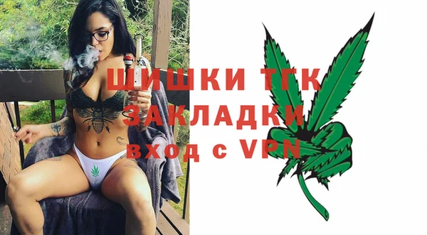 МДПВ Бронницы