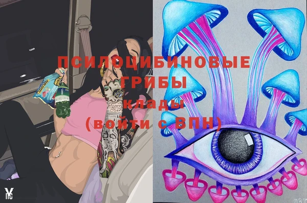 МДПВ Бронницы